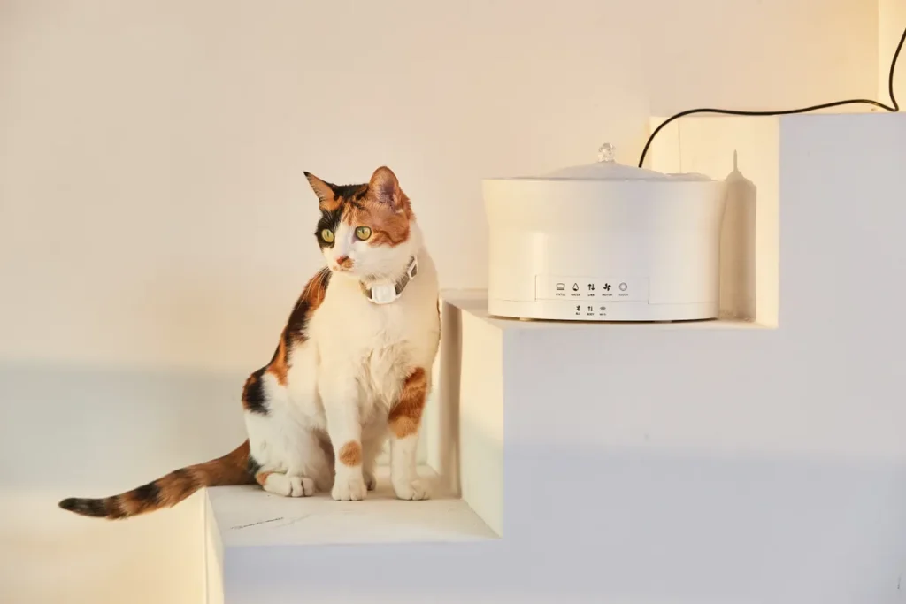 Best Humidifiers for Cats in 2023