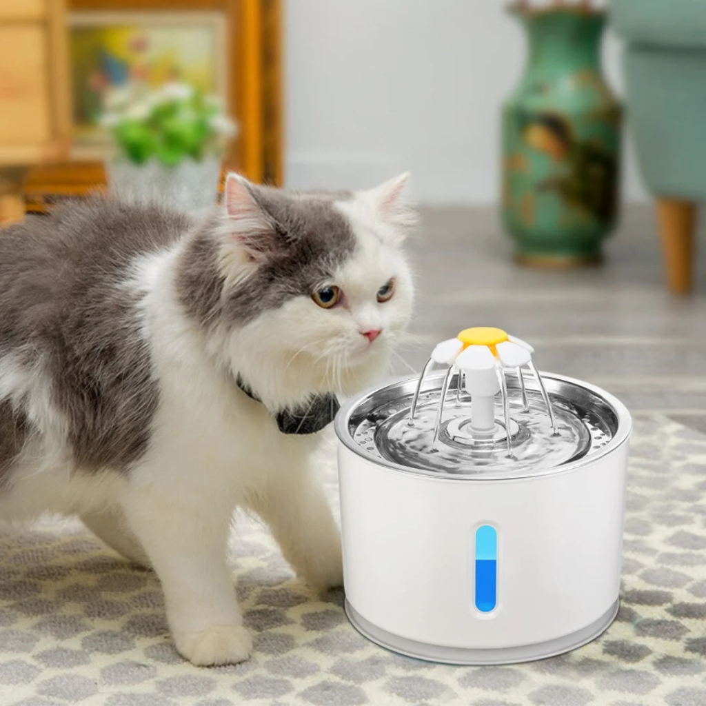 How Do You Use a Cat Humidifier? 
