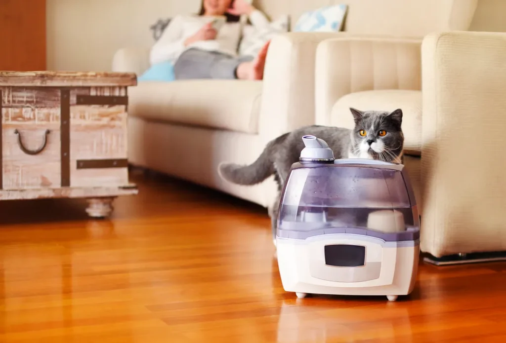 What kind of humidifier is best for cats?