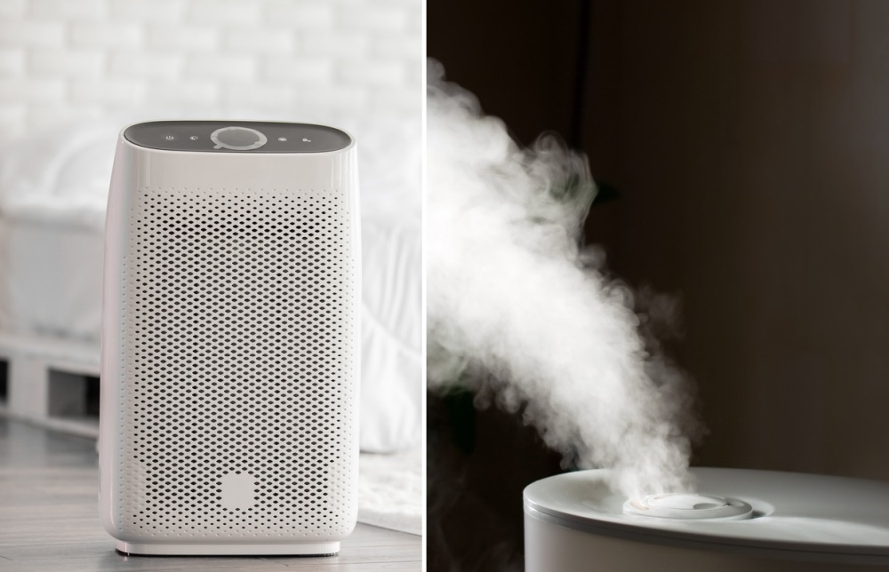 Is an Air Purifier Better Than a Humidifier for Dogs?