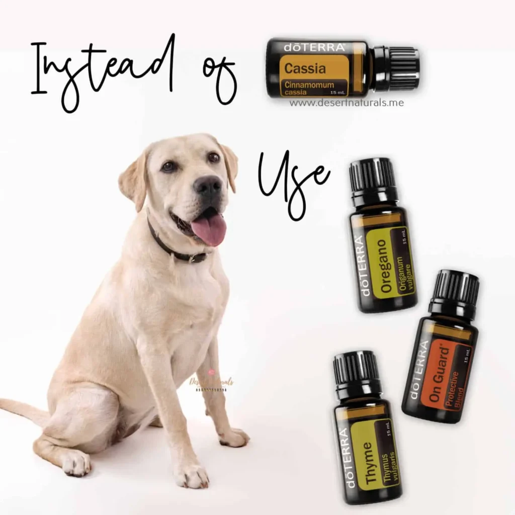 Are Humidifier Oils Safe for Dogs?